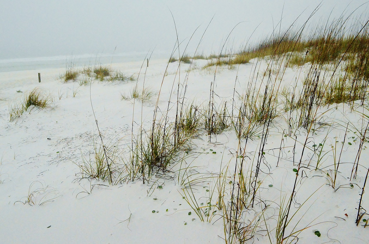 A beach view of Gulf State Park