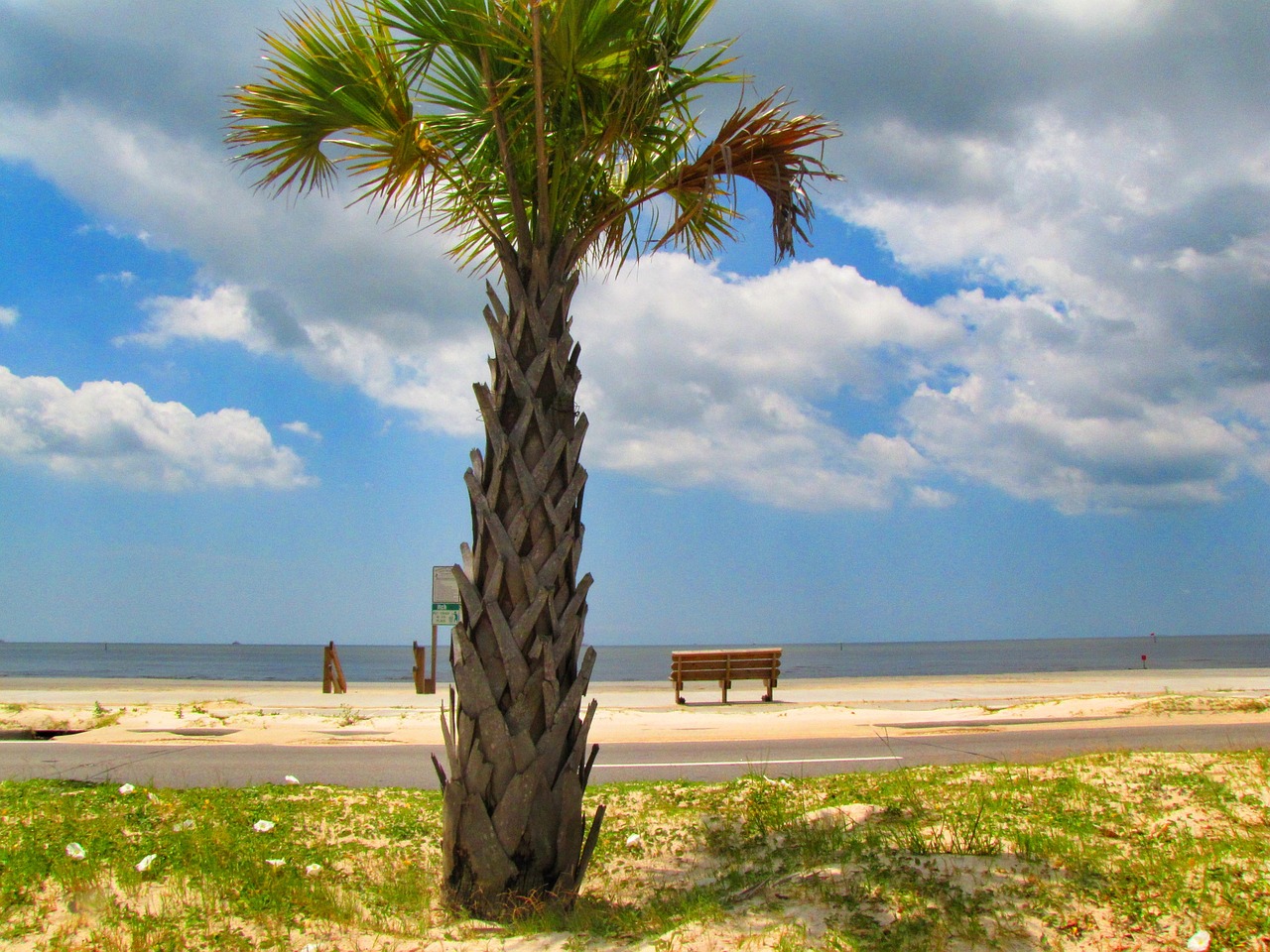 Gulf Shores Spring