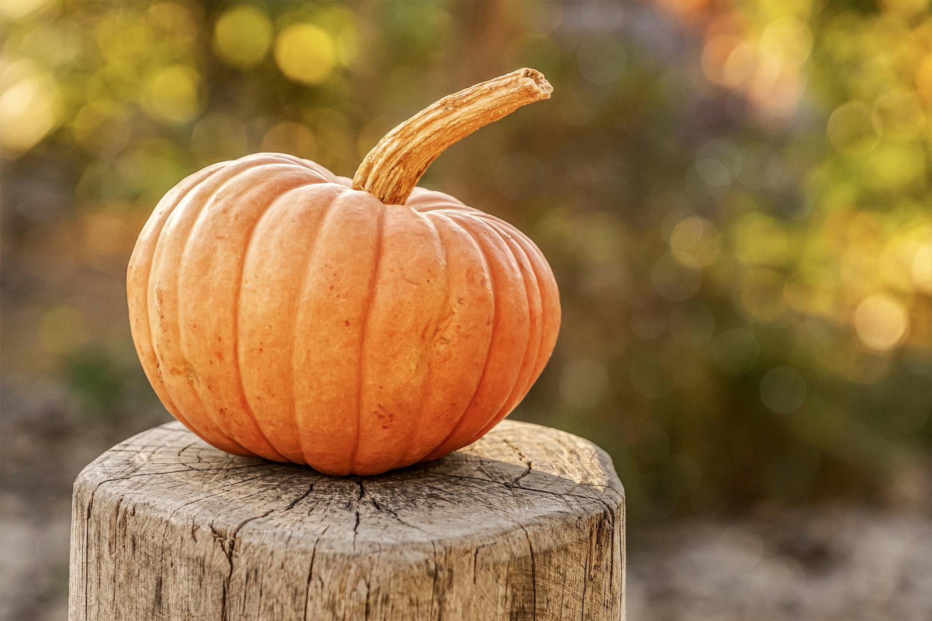 You Won’t Regret a Halloween Spent Along the Alabama Gulf Coast