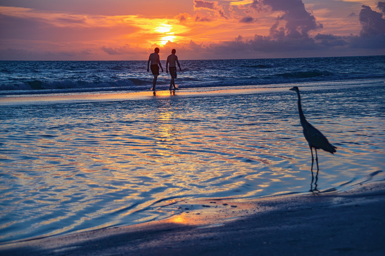 Two people on the beach at sunset, next to a stork