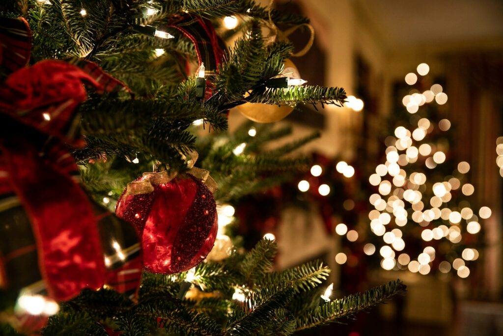 Holiday trees and lights