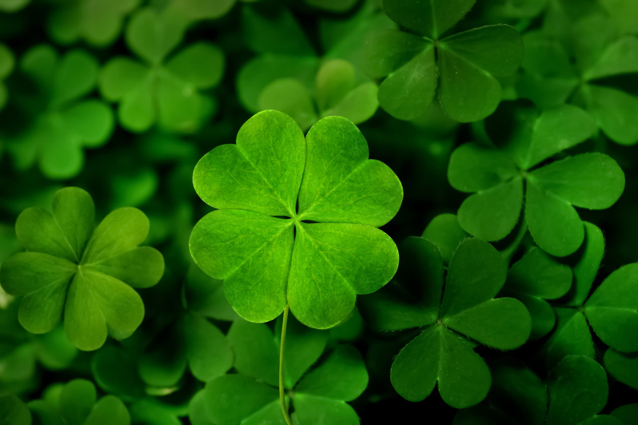 View our St. Patrick's Day Gulf Shores cottages