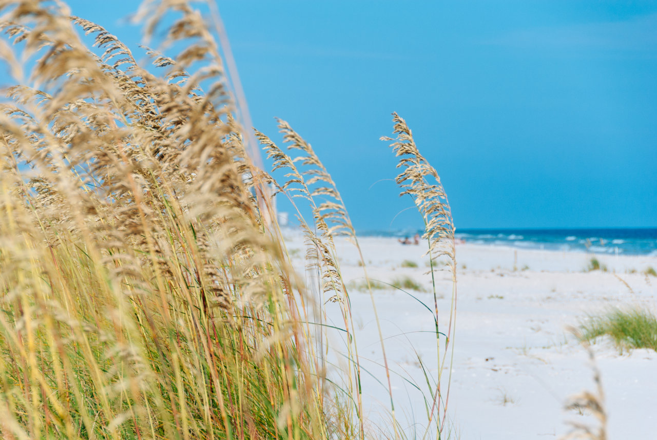 Your Guide to Free Things to Do in Gulf Shores This Summer